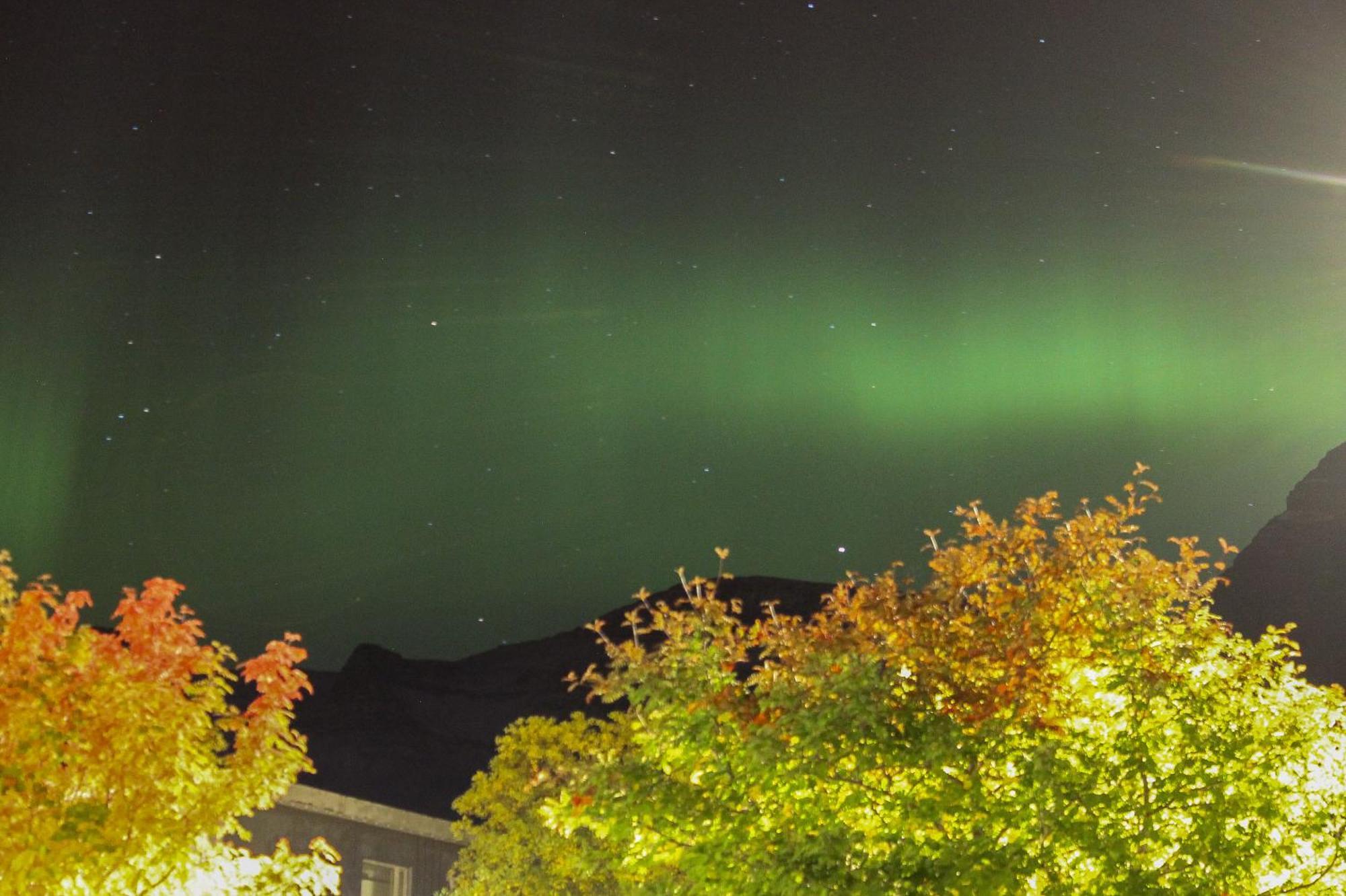 Hotel Austur Reydarfjordur Eksteriør bilde